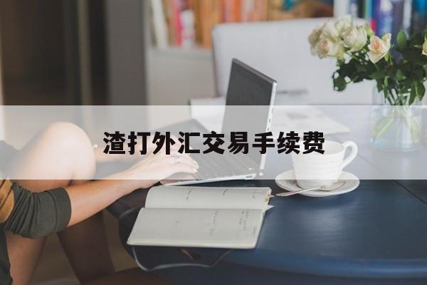 渣打外汇交易手续费(渣打银行境外汇款流程)