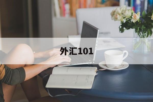 外汇101(外汇1011发票号)