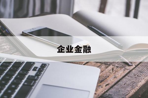 企业金融(企业金融化是什么意思)